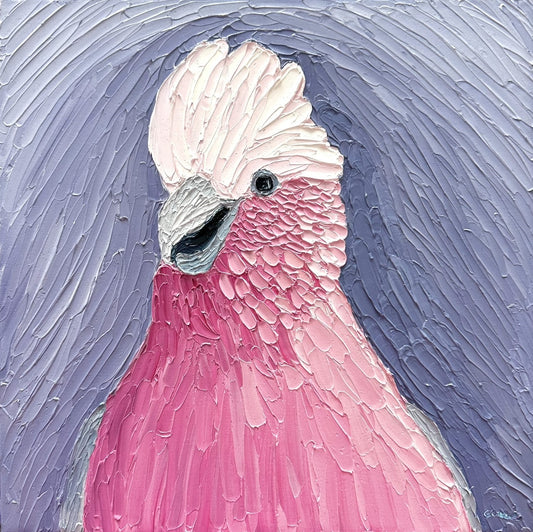 Gleeful Galah – Original Oil Painting by Cassie Holmes