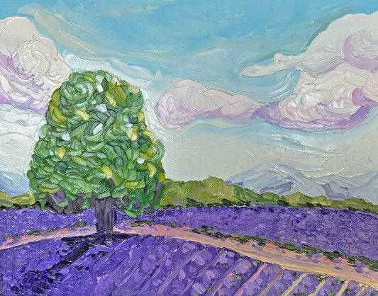 Lavender Dreams – Original Oil Painting by Cassie Holmes