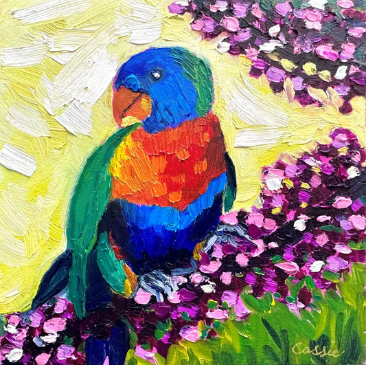 Little Lorikeet – Original Oil Painting by Cassie Holmes