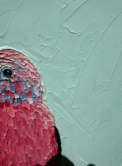 Beautiful Bourkes – Original Oil Painting by Cassie Holmes