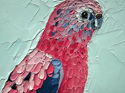 Beautiful Bourkes – Original Oil Painting by Cassie Holmes