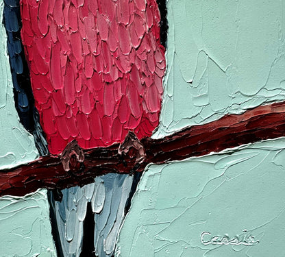 Beautiful Bourkes – Original Oil Painting by Cassie Holmes