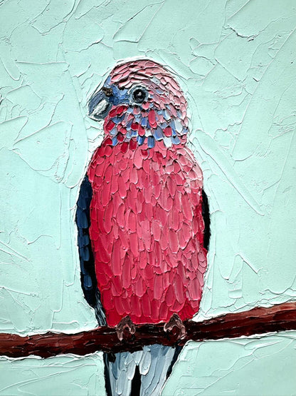 Beautiful Bourkes – Original Oil Painting by Cassie Holmes