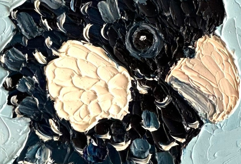 Cal – Original Oil Painting by Cassie Holmes