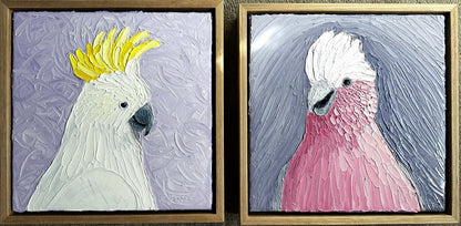 Cheery Cocky – Original Oil Painting by Cassie Holmes