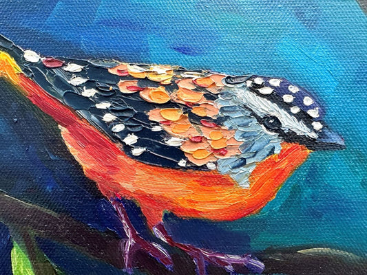 Eve of the Pardalote – Original Oil Painting by Cassie Holmes
