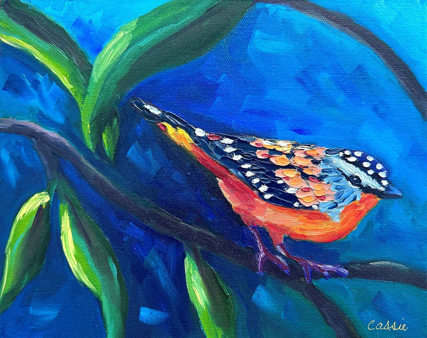 Eve of the Pardalote – Original Oil Painting by Cassie Holmes