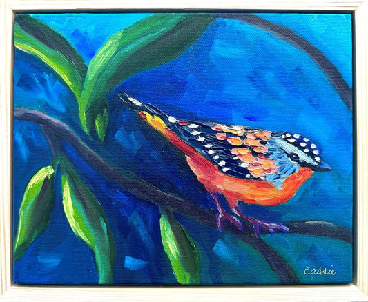 Eve of the Pardalote – Original Oil Painting by Cassie Holmes