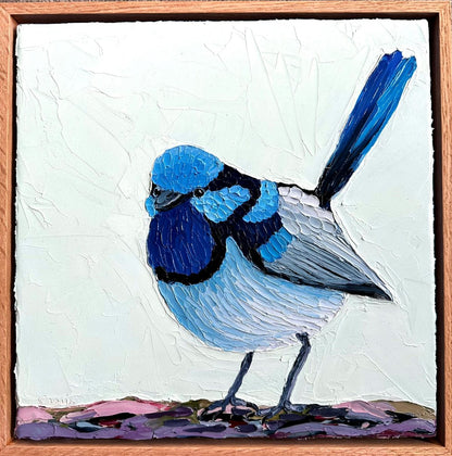 Fluffy Wren – Original Oil Painting by Cassie Holmes