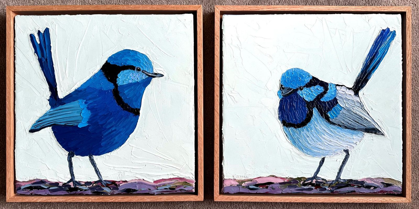 Fluffy Wren – Original Oil Painting by Cassie Holmes