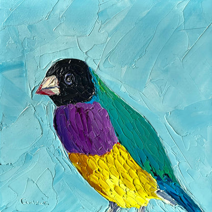 Francis – Original Finch Oil Painting by Cassie Holmes