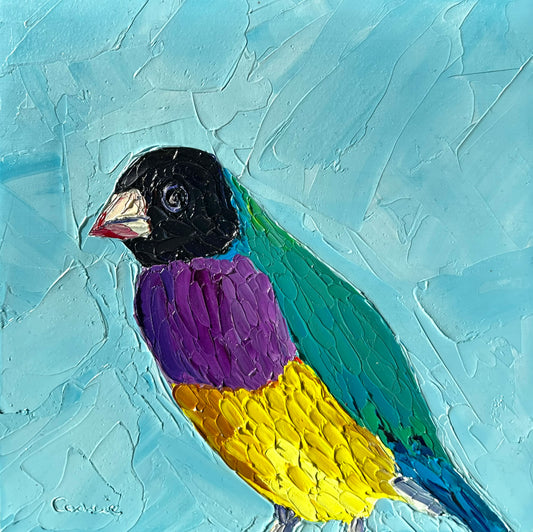 Francis – Original Finch Oil Painting by Cassie Holmes