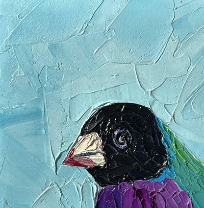 Francis – Original Finch Oil Painting by Cassie Holmes