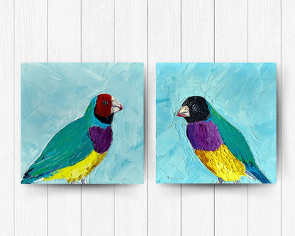 Francis – Original Finch Oil Painting by Cassie Holmes