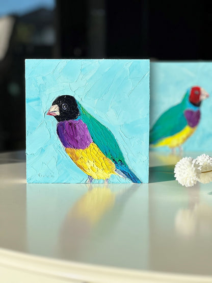 Francis – Original Finch Oil Painting by Cassie Holmes