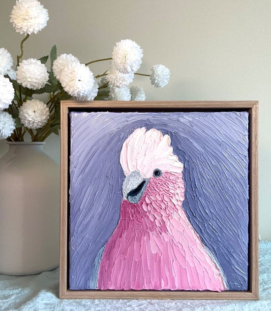 Gleeful Galah – Original Oil Painting by Cassie Holmes