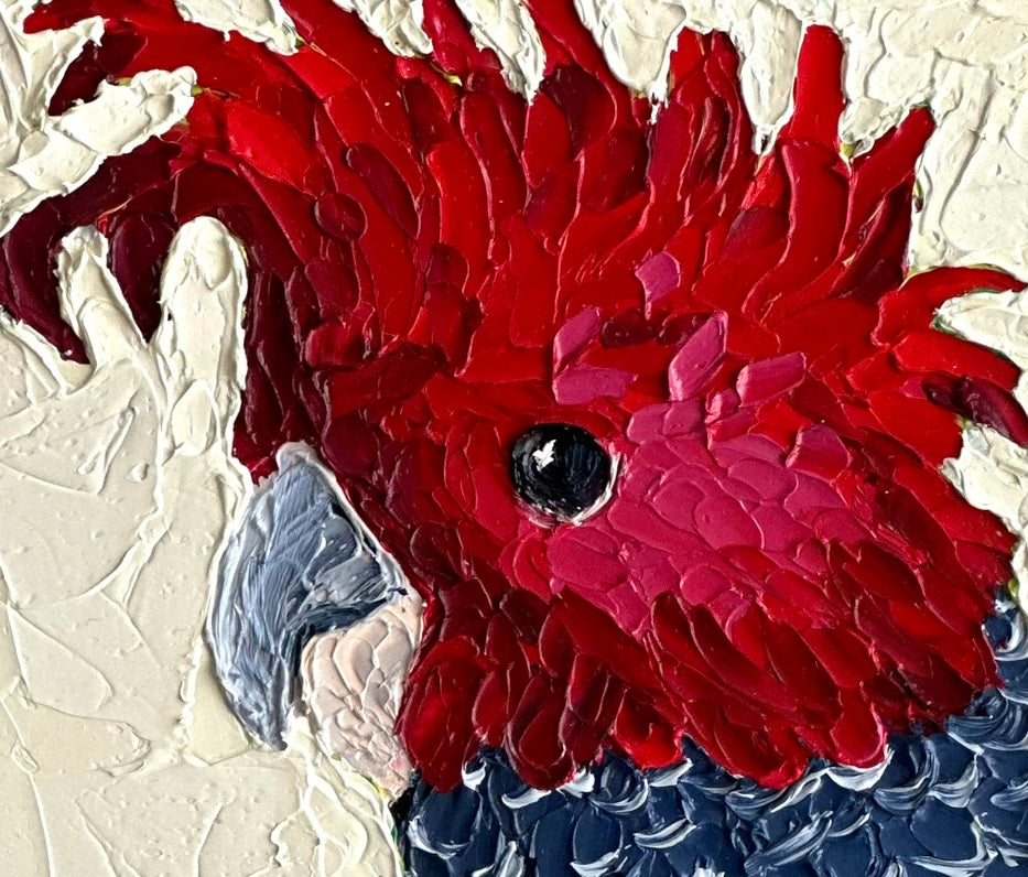 Gus – Original Oil Painting by Cassie Holmes