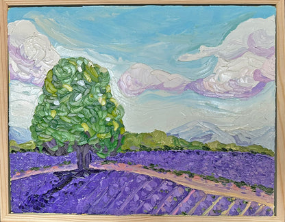 Lavender Dreams – Original Oil Painting by Cassie Holmes