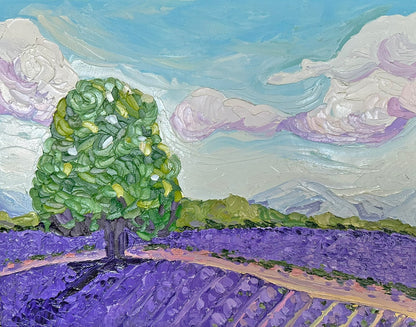 Lavender Dreams – Original Oil Painting by Cassie Holmes