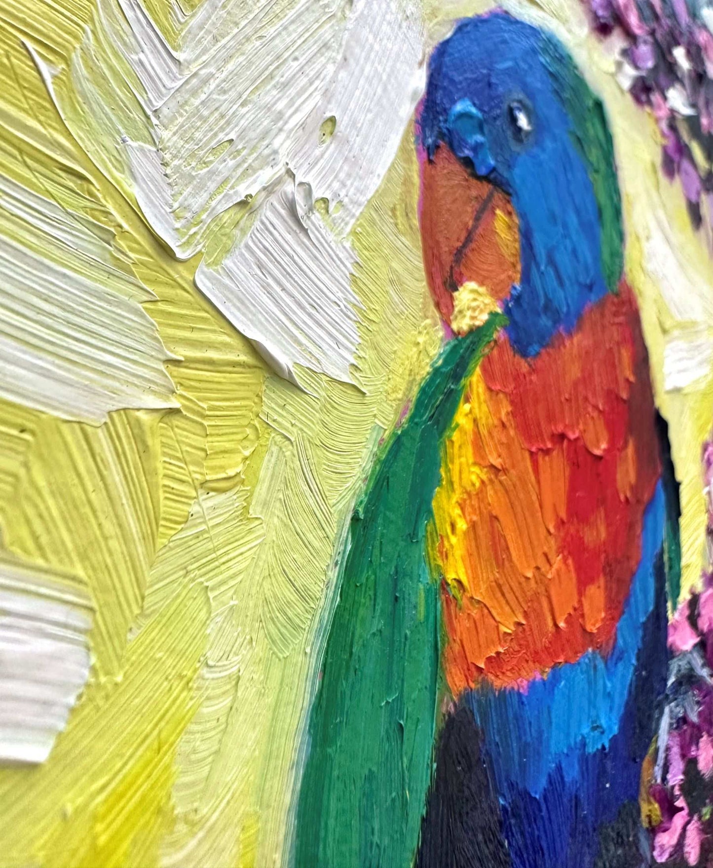 Little Lorikeet – Original Oil Painting by Cassie Holmes