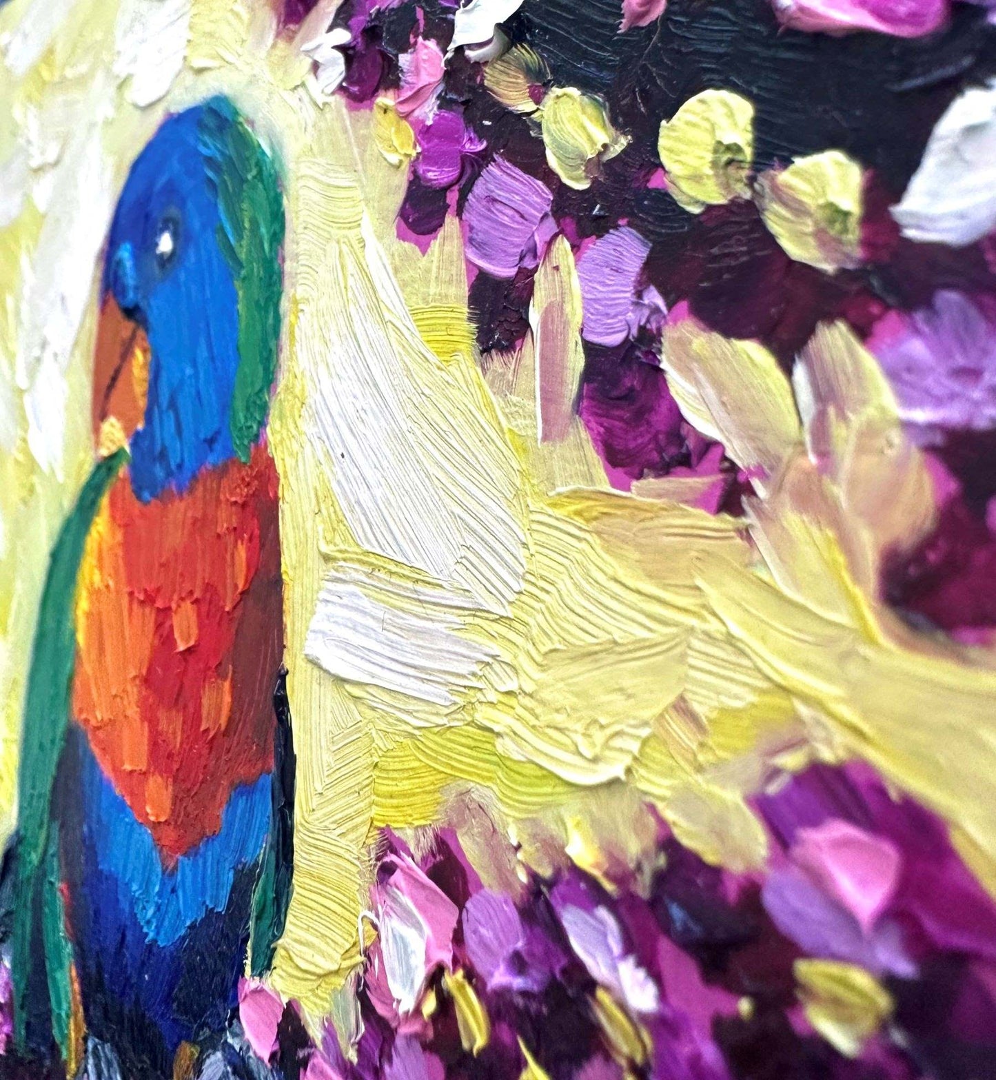 Little Lorikeet – Original Oil Painting by Cassie Holmes