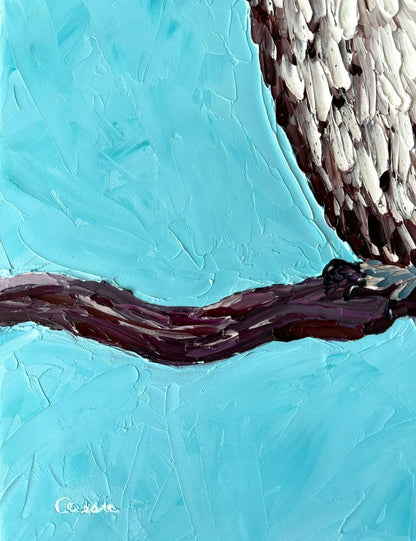 Ruffled Beauty – Original Kookaburra Oil Painting by Cassie Holmes