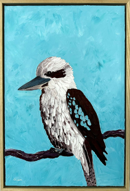 Ruffled Beauty – Original Kookaburra Oil Painting by Cassie Holmes
