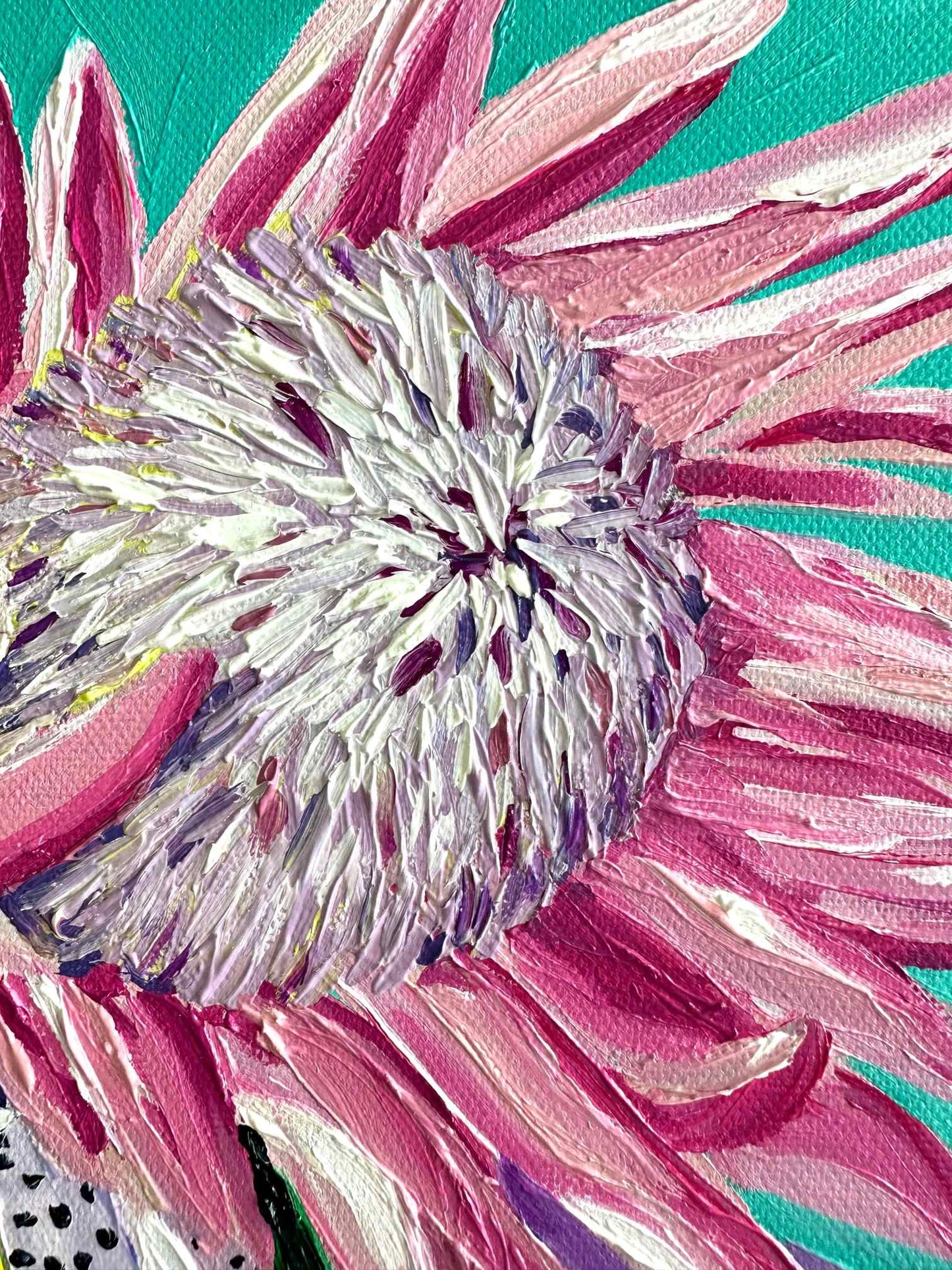 Spotty Protea – Original Oil Painting by Cassie Holmes