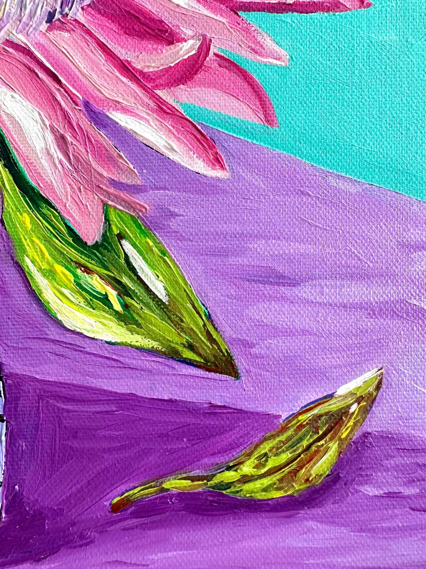 Spotty Protea – Original Oil Painting by Cassie Holmes