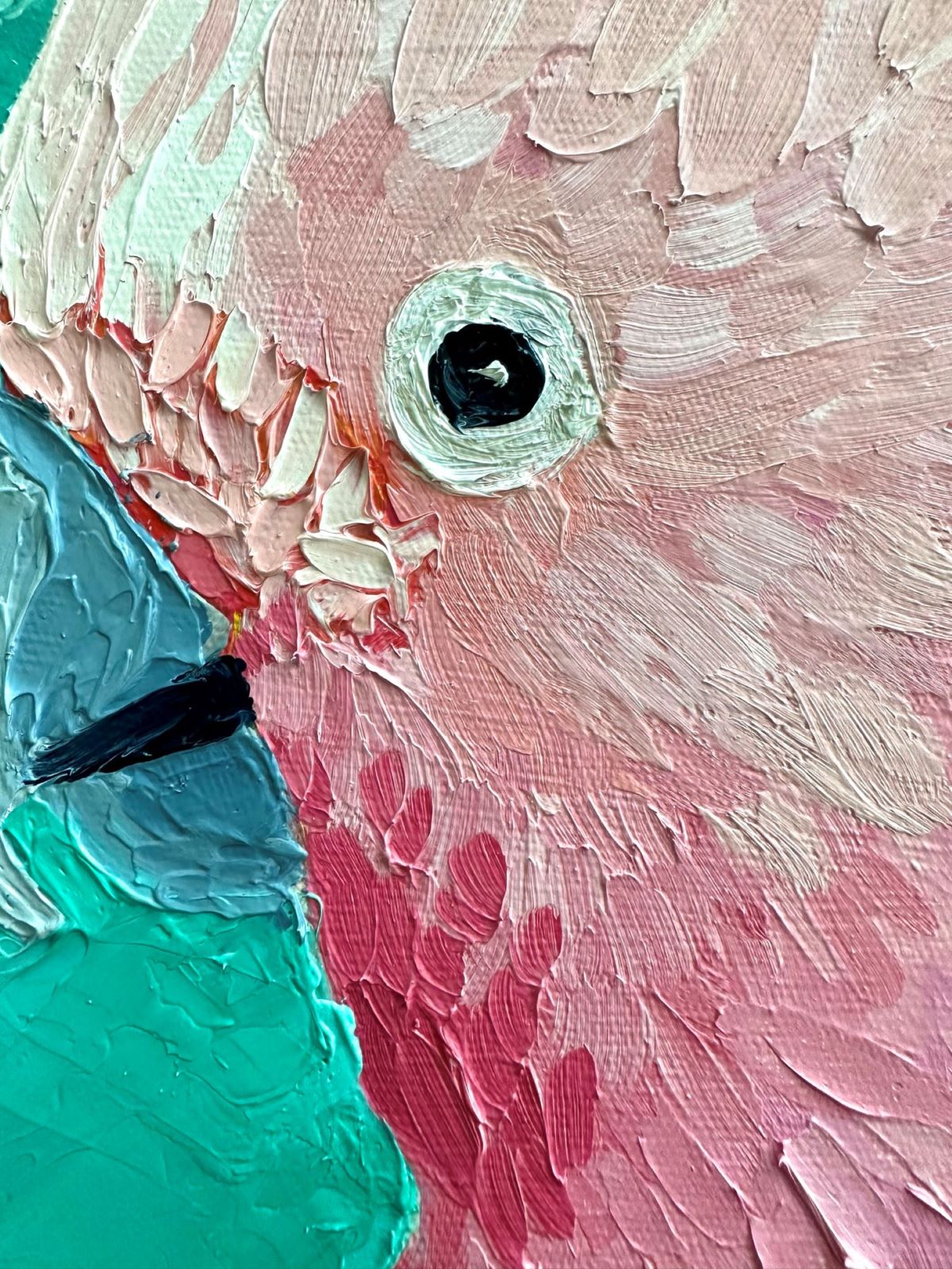 The Major – Original Pink Cockatoo Oil Painting by Cassie Holmes